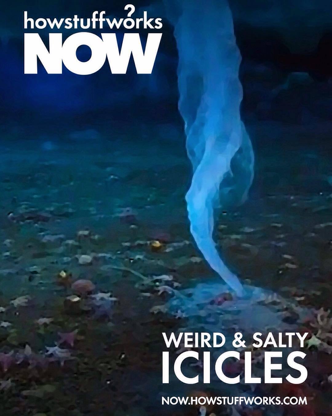 howstuffworks:  You’re probably not ever going to go diving in the waters off Antarctica,