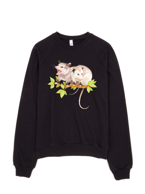 Opossum Giveaway