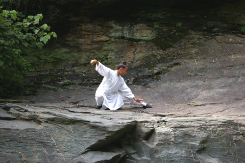 In current-day China, the martial arts are generally classified into two major groups: Wudang&n