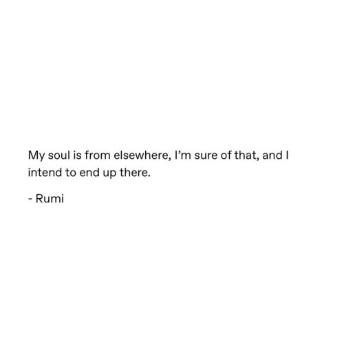 hedonistpoetbyhira:
“Honoring Rumi on his death anniversary ♥️🙏🏽 #mevlana #rumi
https://www.instagram.com/p/B6LgkfzJito/?igshid=5x4f0fnnmybk
”