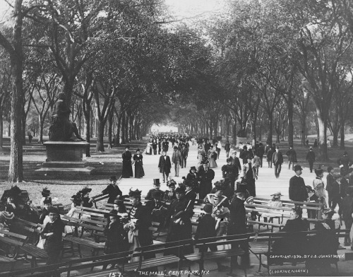 hyperallergic:  The Glass Plate Garden: Early Photographs of Central Park