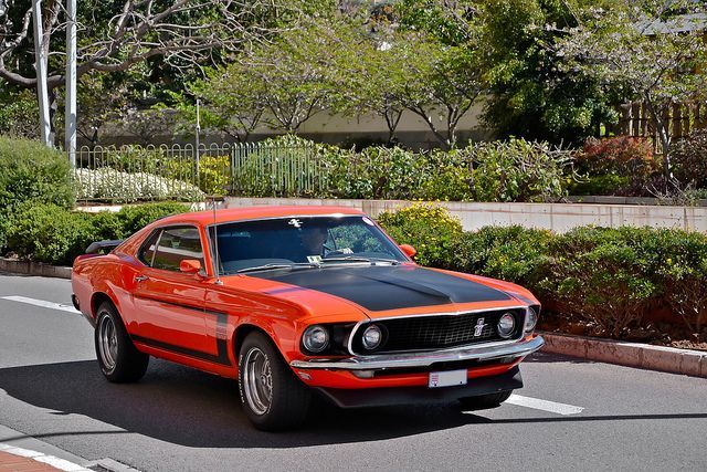 JUST THE COOLEST MUSTANGS