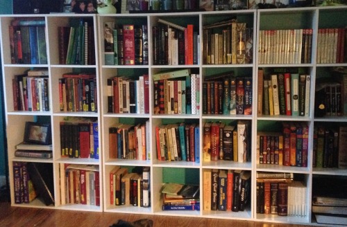 teachingliteracy:  Half of embracing thorn’s bookcase for #Shelfie Sunday 