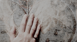 kinqstark:endless list of favorite movies - beauty and the beast (2017)If he could learn to love ano