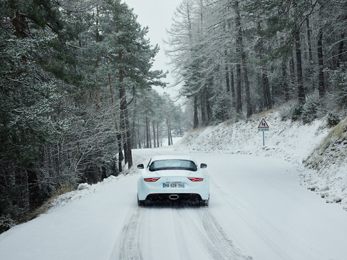 itcars: Alpine A110 Images by Sébastien Staub  Aptly named.. wonder what kind of snow tires i