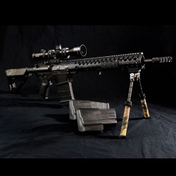 s0w1:  #accuratearmory #ar10 .308 with #centurion rail, #vortex scope and #Lantac dragon comp #magpul #igmilitia #defendthe2a #2a by S.Dobbins on Flickr. 