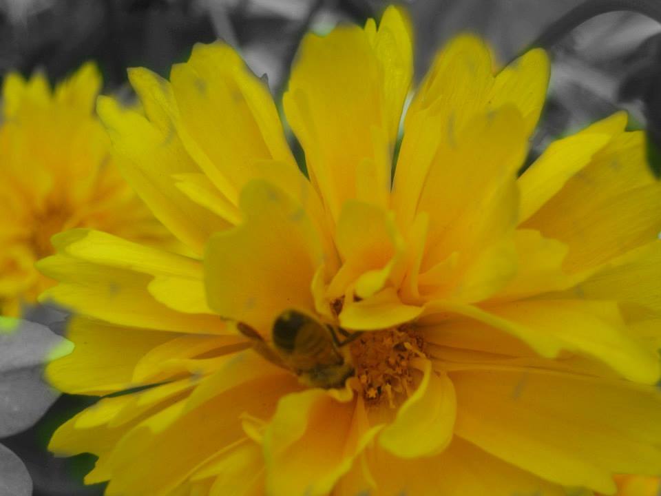 pictures I edited with photoshop