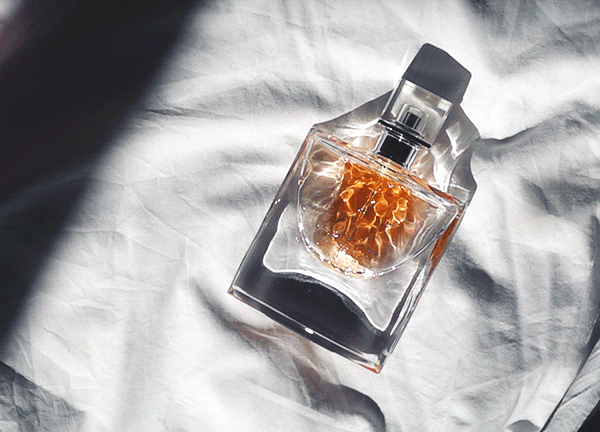 kitchen ghosts — please someone hire me to make perfume gifs my...