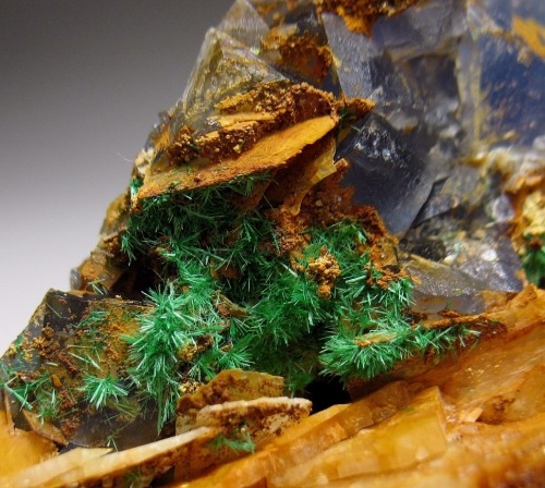 Brochantite &amp; Fluorite on Barite - New Mexico