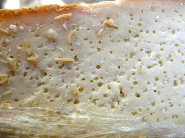 Casu marzu is cheese crawling with live maggots--on purpose. –  @worldwidefacts on Tumblr