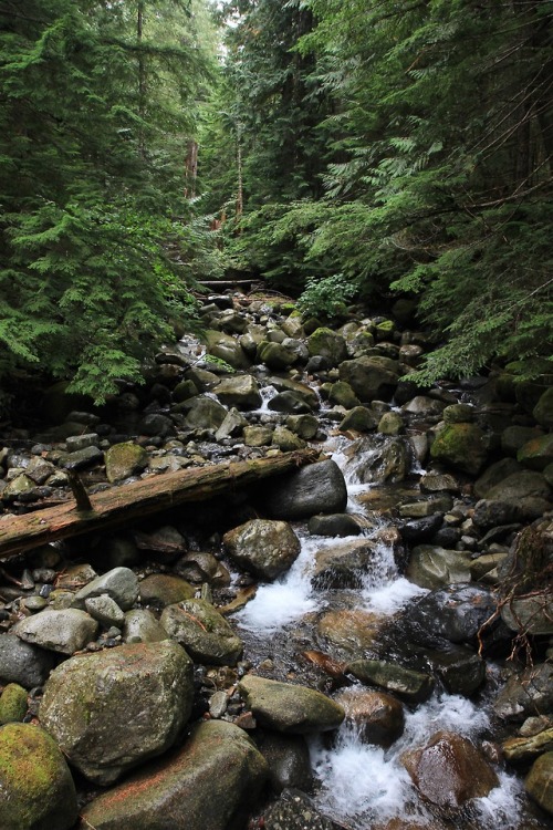 burningmine:Annette Lake Trail, September 2018