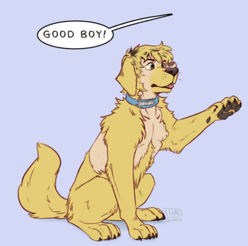 awierdfurry:Dog TF by H.N