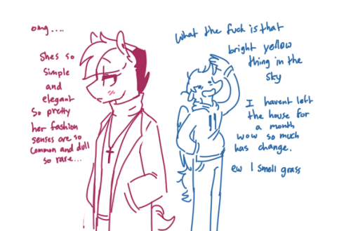 tumblr photo loyalistdog 0