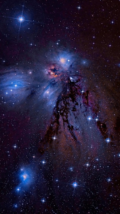 the-wolf-and-moon:NGC 2170, Angel Nebula