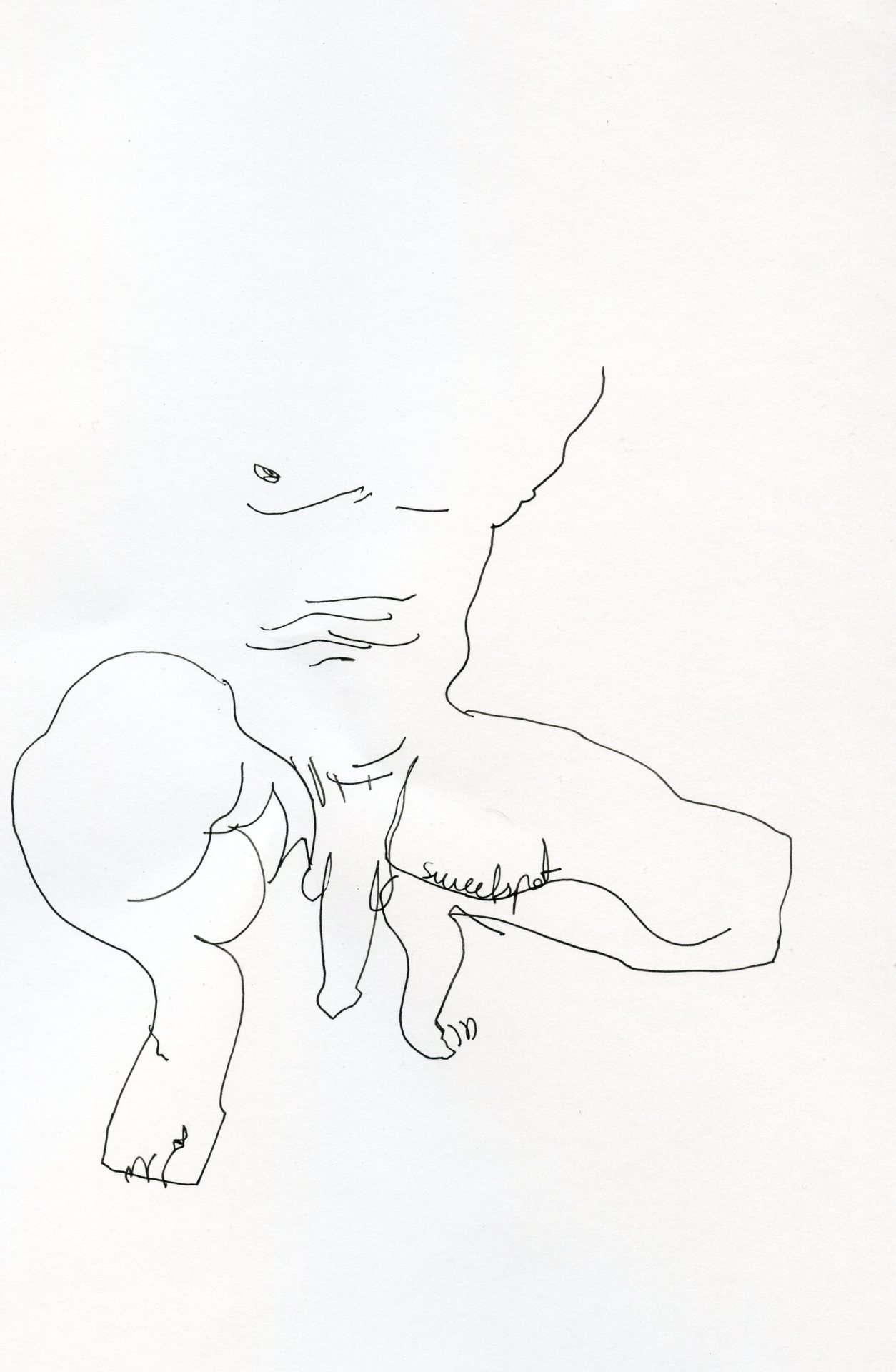 monsieurpavot:  Original for sale (aprox A4).Artwork by Monsieur Pavotmonsieurpavot@gmail.com