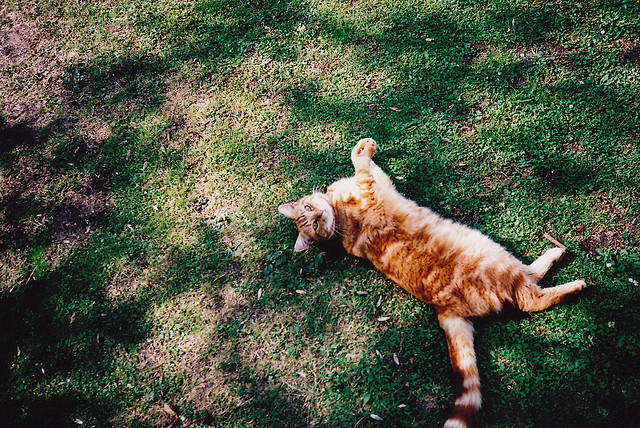 opstinatus:  untitled by Aziz_Abdul on Flickr. 