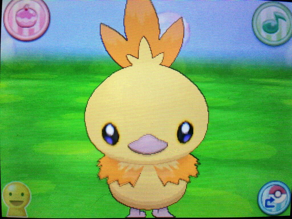 ultrafagatron:  SOUND THE TRUMPETS! #HOENCONFIRMED GIVE AWAY! Treecko: Level 1  -