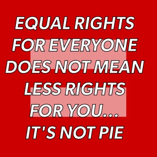 Equal rights your everyone does not mean less rights for you. It&rsquo;s not pie. • Reblog 