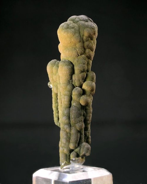 Mottramite | ©Washington Minerals Rare botryoidal Mottramite stalactite from Ojuela Mine, 