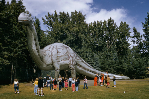 A 32-foot-tall concrete brontosaurus dwarfs curious zoogoers in Alberta, Canada, December 1961.Photo