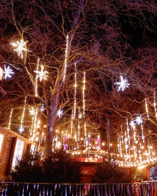 Christmas lights at Leicester Square, London #london #lights #xmas #christmas #festive #trees #cold 