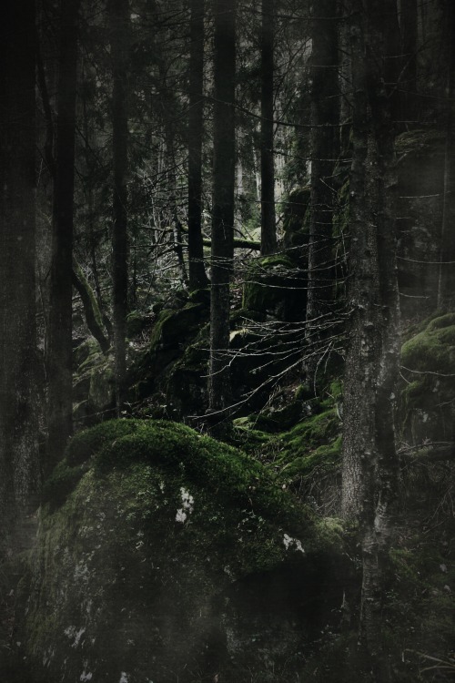 heathenharnow: Bland sorgsna träd och sovande troll XXVII© Heathen Harnow -