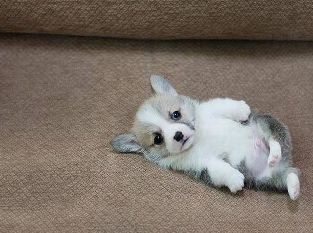 awwwwww me want