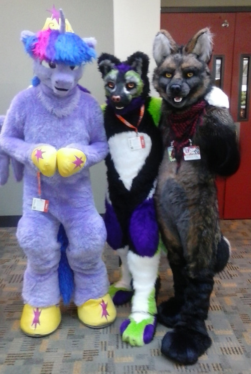I didn’t take a lot of photos at BC, but i did grab a few with my shitty phone blur-o-cam.I love seeing fursuits there… it’s like, a little more special than seeing them at a furcon i guess xD There aren’t nearly as many, and they are my