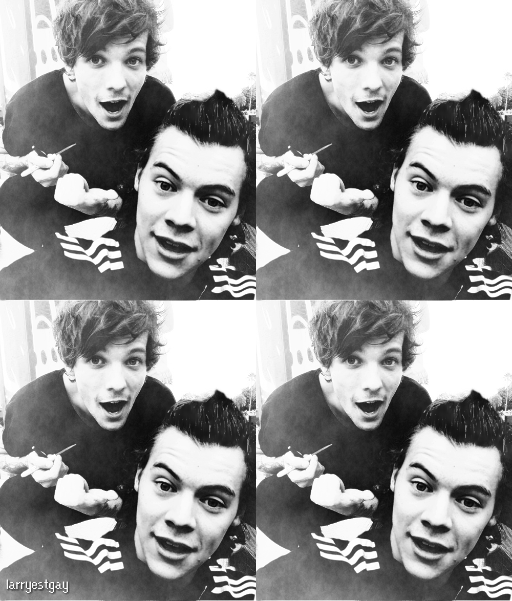 lee-hoseokkie:   @Harry_Styles: Got a quick selfie with my favourite singer all