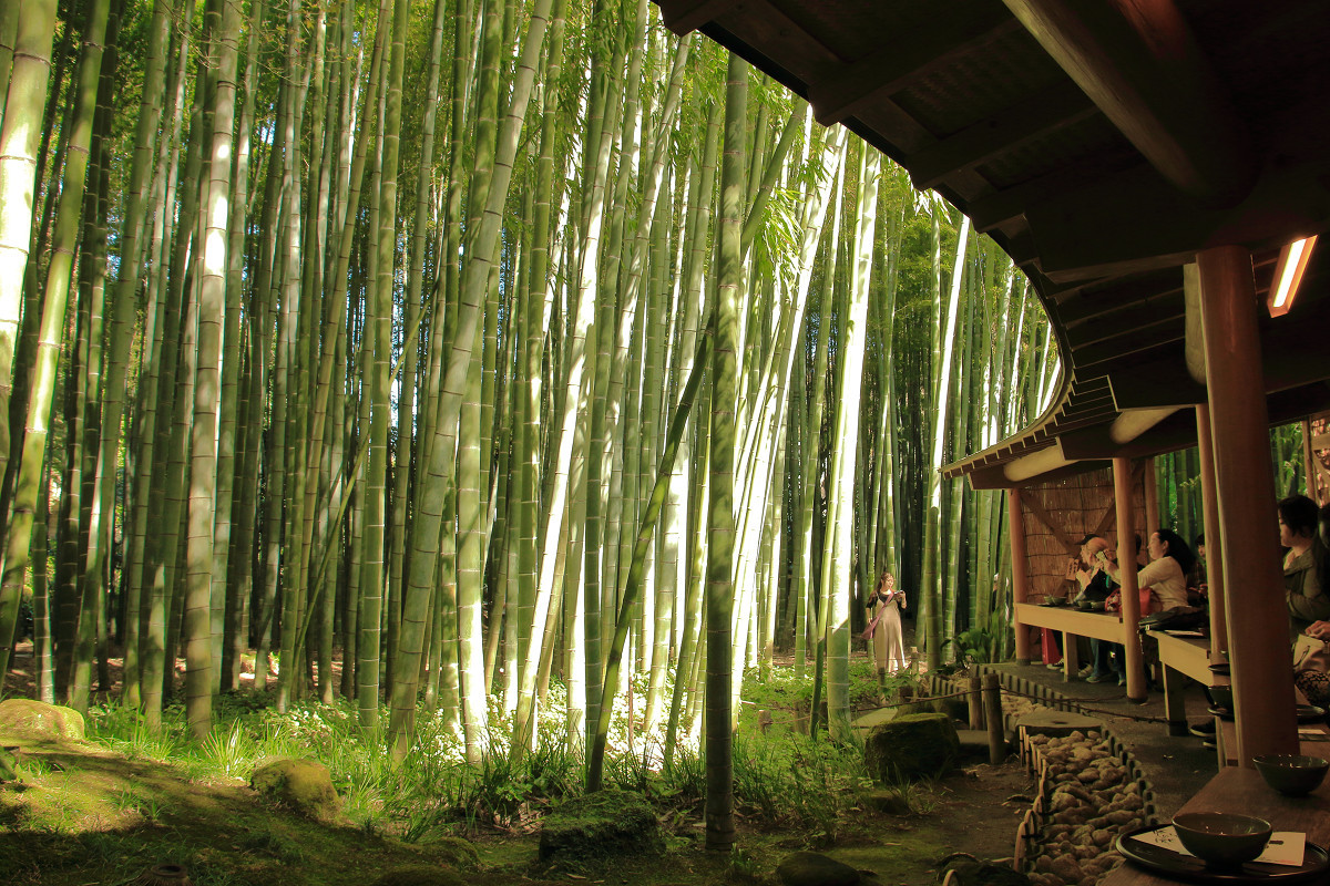 報国寺 Explore Tumblr Posts And Blogs Tumgir 報国寺 Explore Tumblr Posts And Blogs Tumgir