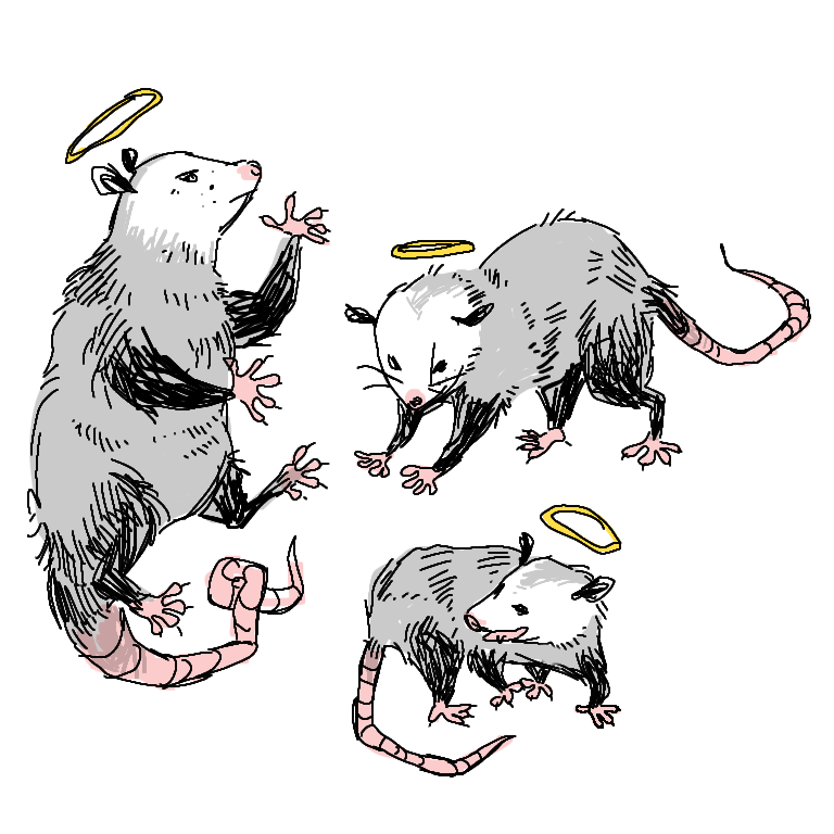 peripheralsun:   transparent possums :-) 