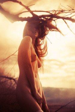 pawel-anderson:  Libra Decora  (via 64eiffel19.wordpress.com)  Kesler Tran Photography 