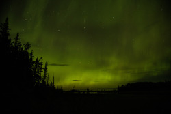 Desolatewolf:  Northern Lights Over Lac La Plonge