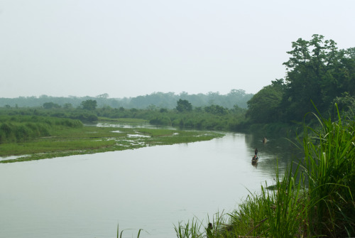 Chitwan National ParkNepal2018