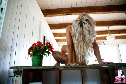sglovexxx:  Vayda Suicide
