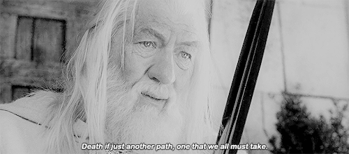 airbenderaangs:lotr meme; 8 quotes [1/8]“The journey doesn’t end here. Death is just another path, o
