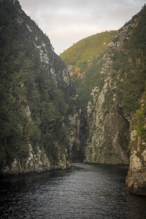 GorgeStorms River, Eastern Cape, South Africa