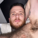 thefurryforest: