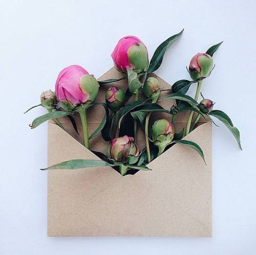 culturenlifestyle:  Flower Bouquets in Vintage EnvelopesKiev-based artist Anna Remarchuk showcases stunning images of her flower bouquets inserted in envelopes on her Instagram account. Remarchuk delicately styles lush flowers into vintage envelopes,