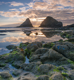 Heceta HeadOregon Coast-jerrysEYES