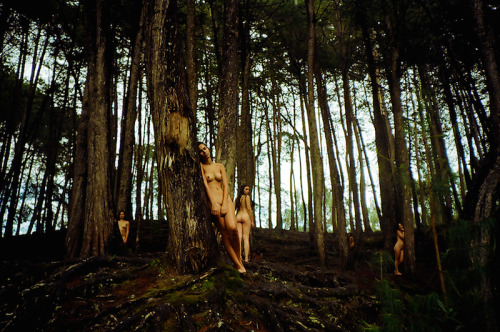 nevver:  Some girls wander by mistake, Daniel González 