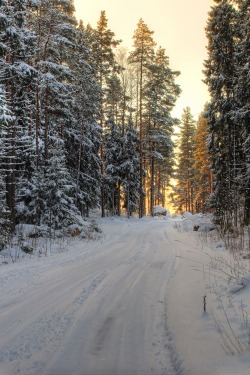 h4ilstorm:  Snowy Road