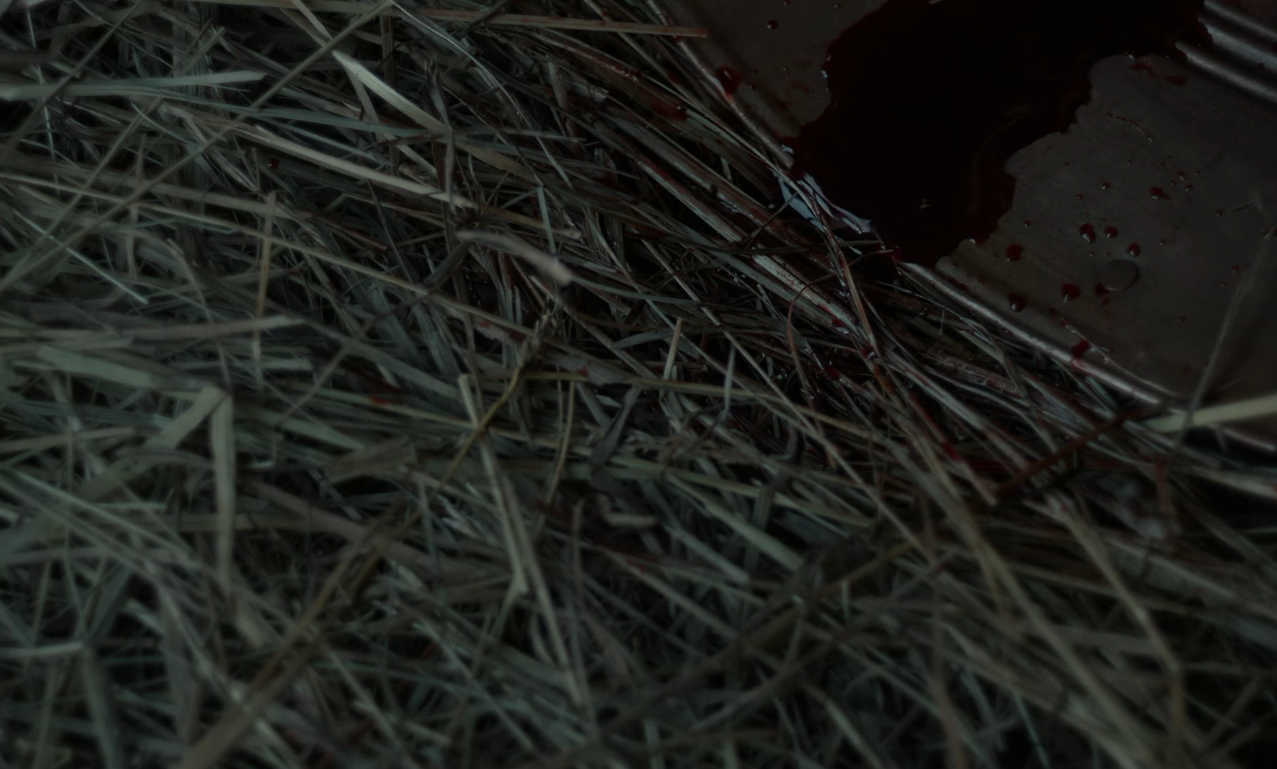 livsullmann:  The Witch (2015) dir. Robert Eggers  “Wouldst thou like to see the