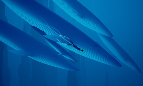 hicctooth00:The Scenery of Abzû