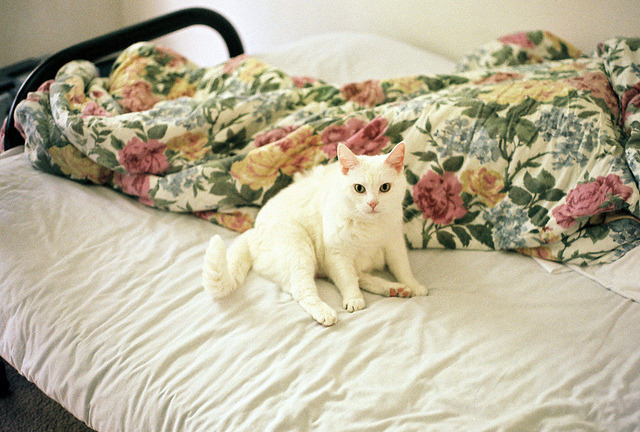 se-recipere:  unbenannt by bum cat on Flickr.