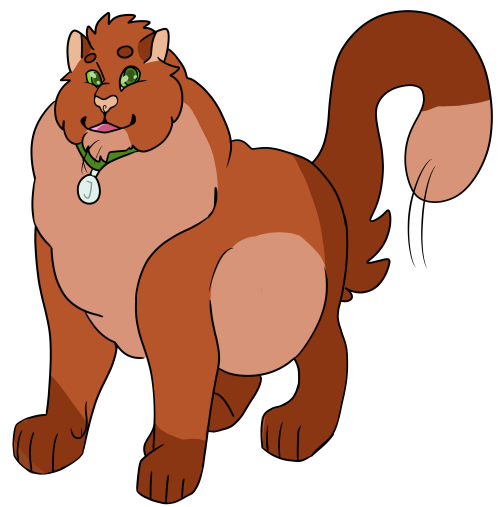 Omg Is That Jake Warrior Cats, Hes A Dad Yknow