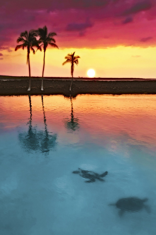 invocado:  Sunset at Kiholo Bay | by 