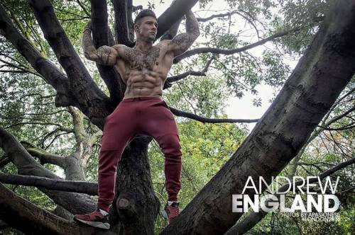 Andrew England