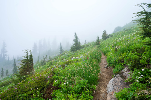 90377:Moraine Trail by Lianne Morgan