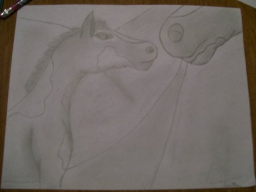 Here you go for your grandfather and I wish him well with his health issues. This is old art I did in….oh…long time ago with just a pencil, but I felt like it was the right one to go with since he had raised you, like the mare is raising